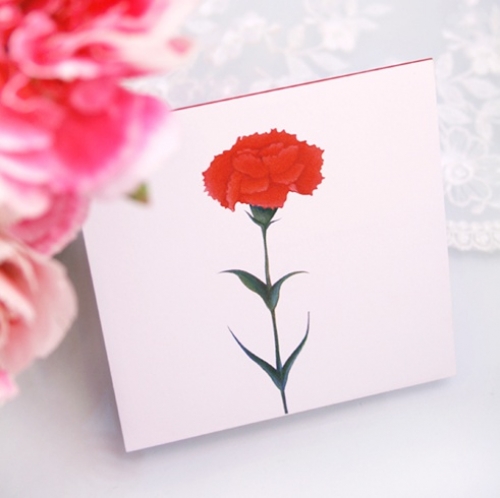 Carnation card (piece)
