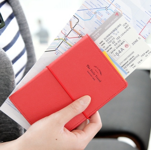The daily travel passport case